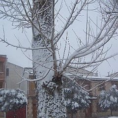 nieve 14 - 12 - 09 087